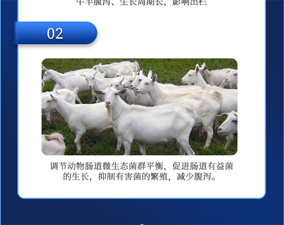 pp����ģ������������ţ���������Ӽ�θ��plus��Ʒ����