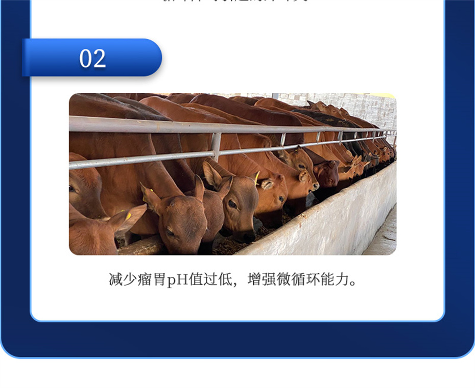 pp����ģ������������ţ���������Ӽ�θ��plus��Ʒ����