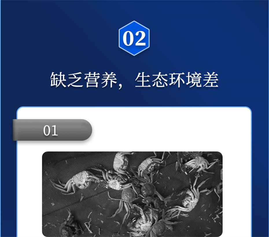 pp����ģ������������ˮ���������Ӽ��ٲ�΢s+��Ʒ����