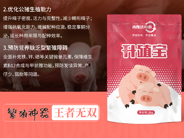 ÿ������2kg��Ͷ���������Ļر�������ֳ�����ۺ�Ч�����