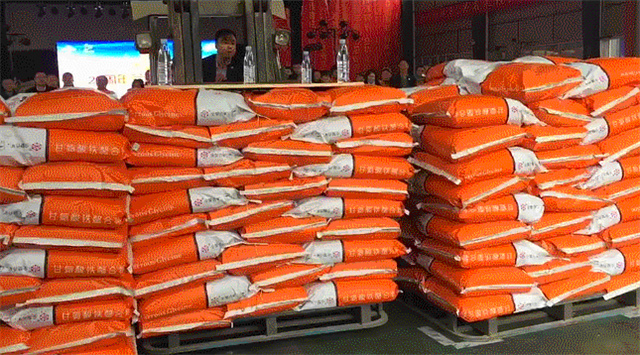 pp����ģ���������Ͷ����ܾ����泵����ͼ