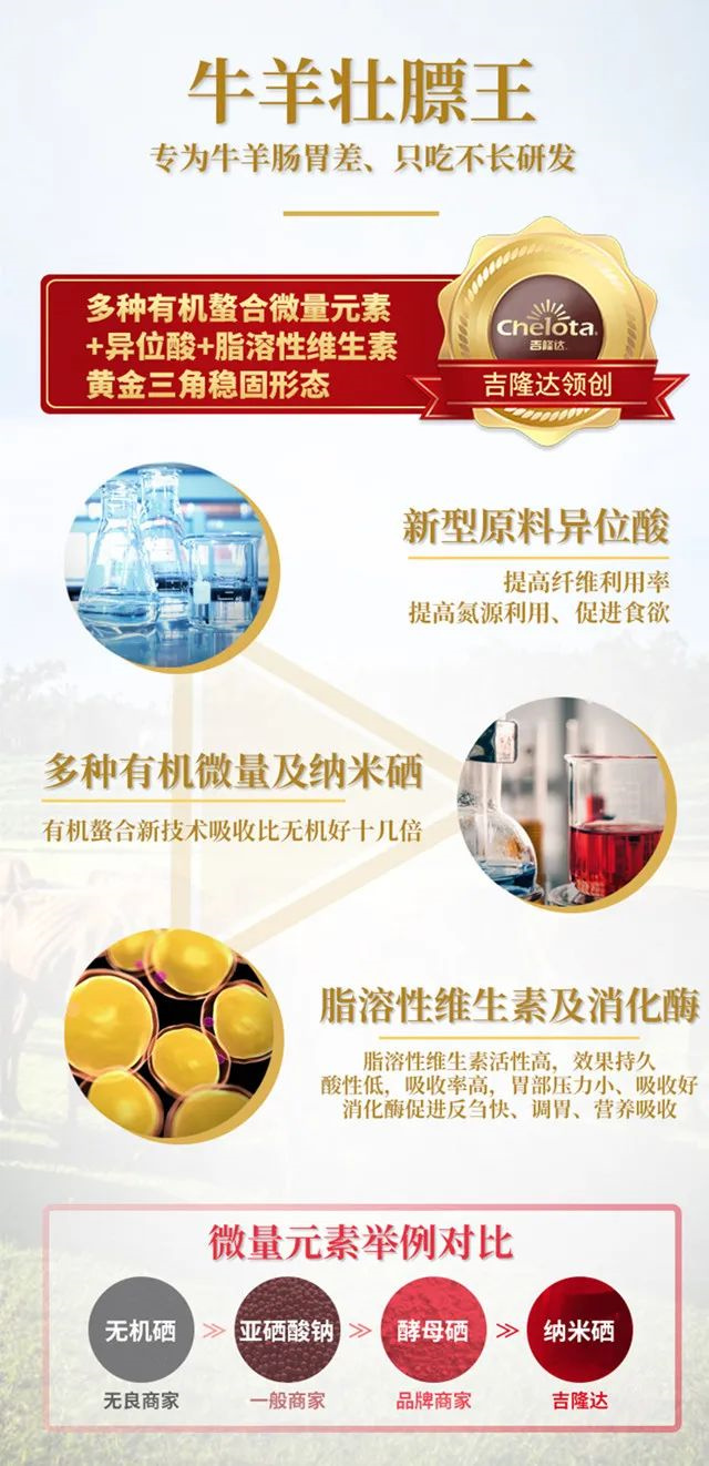 ��ۻ�������Ӽ�ţ��׳����Ϊʲô��