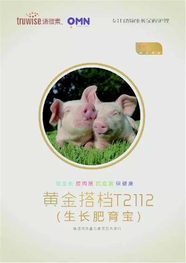 pp����ģ���������������Ӽ�