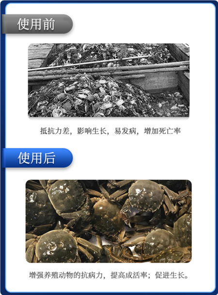 ����1��Ч��