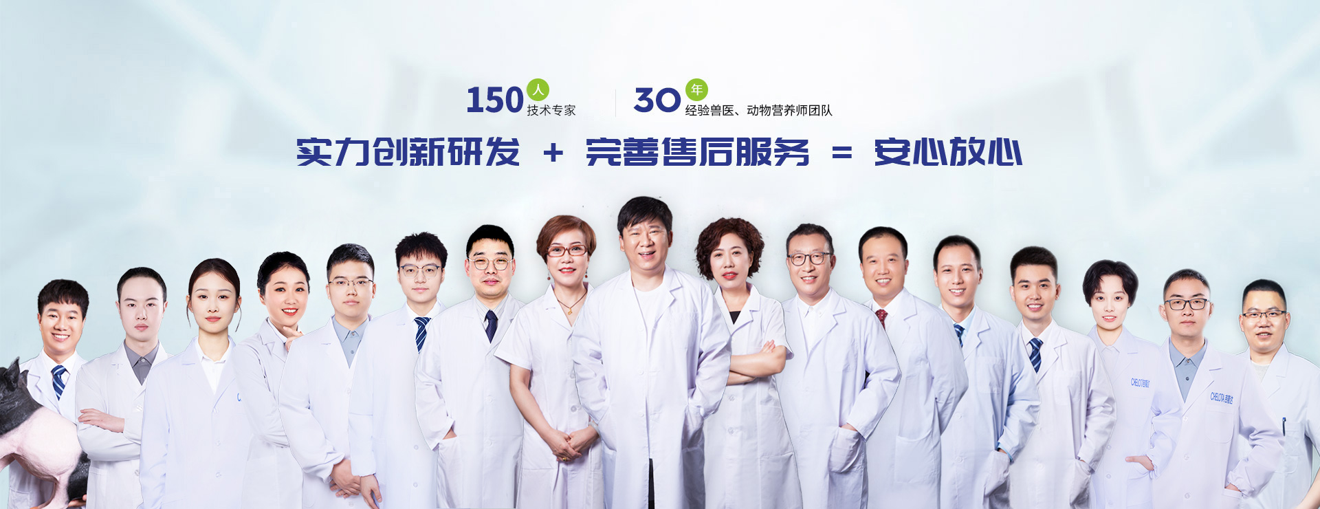 pp����ģ��������-�������Ӽ���������