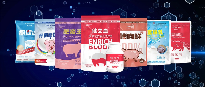 pp����ģ���������������������Ӽ�