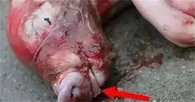 �ж�ĸ���Ƿ�����3������ĸ���ӹ���λ