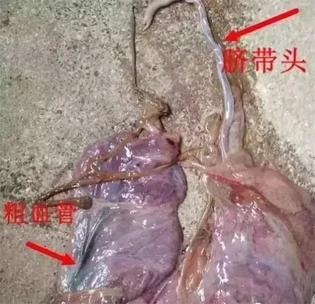 �ж�ĸ���Ƿ�����1�У������ͷ