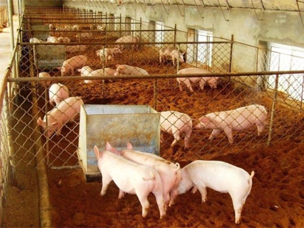 ����Ӧ�������ح��������ǿ��Ӫ����ʩ