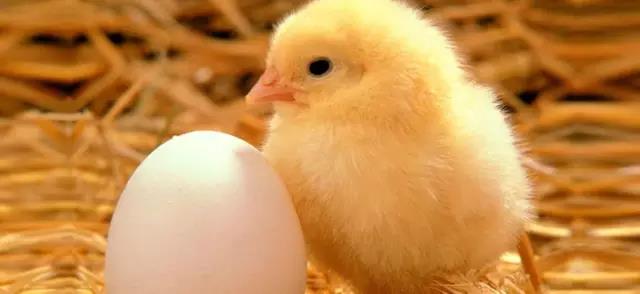 �������Ӽ�