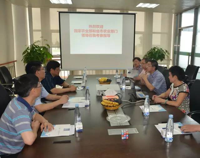 ũҵ���쵼���ŵ�pp����ģ�����������Ųιۿ���