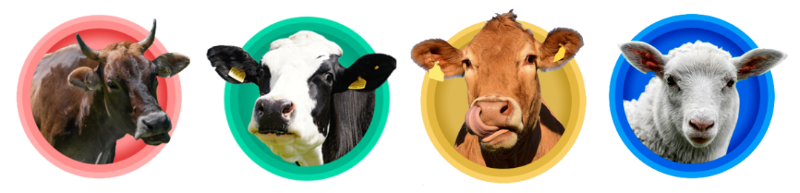 pp����ģ����������ۻ�����������Ӽ�