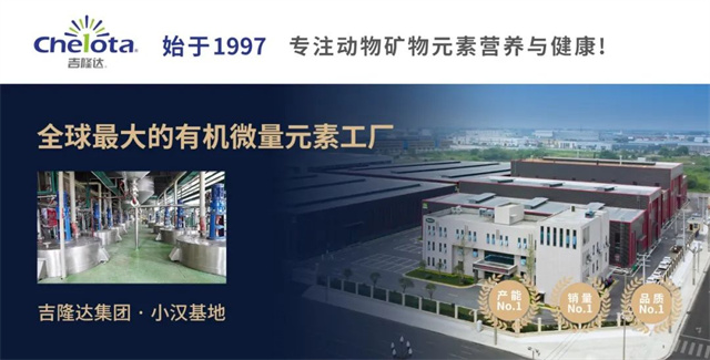 �л�΢������pp����ģ��������