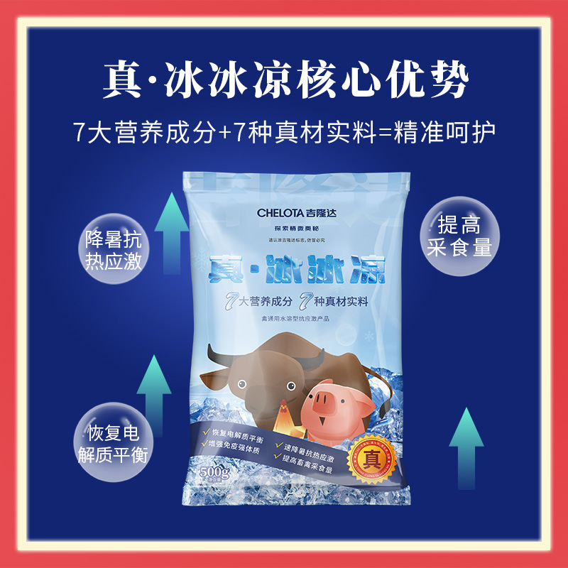 pp����ģ������������������