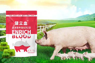 pp����ģ���������������ӹ�����